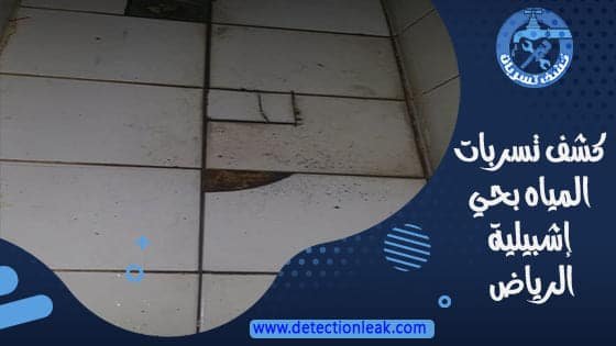 كشف تسربات المياه بحي إشبيلية الرياض