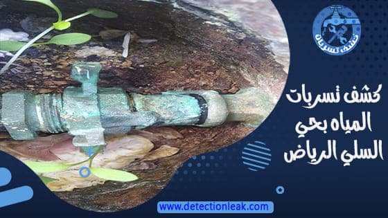 كشف تسربات المياه بحي السلي الرياض
