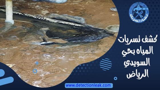 كشف تسربات المياه بحي السويدي الرياض