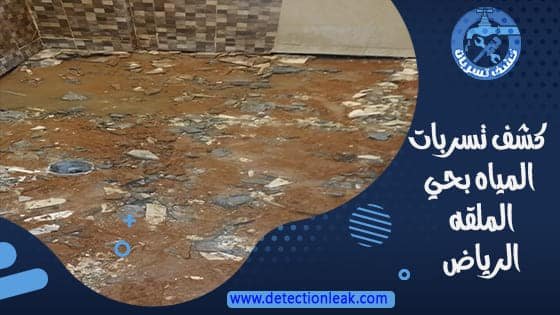 كشف تسربات المياه بحي الملقه الرياض