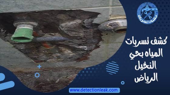 كشف تسربات المياه بحي النخيل الرياض