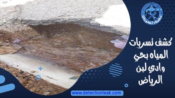 كشف تسربات المياه بحي وادي لبن الرياض